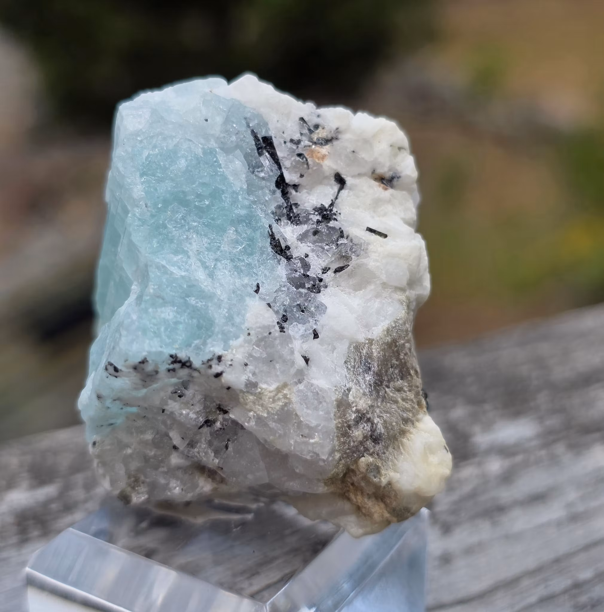 Rå Akvamarin Med Mica, Turmalin & Albit, Skardu Pakistan 301 ct