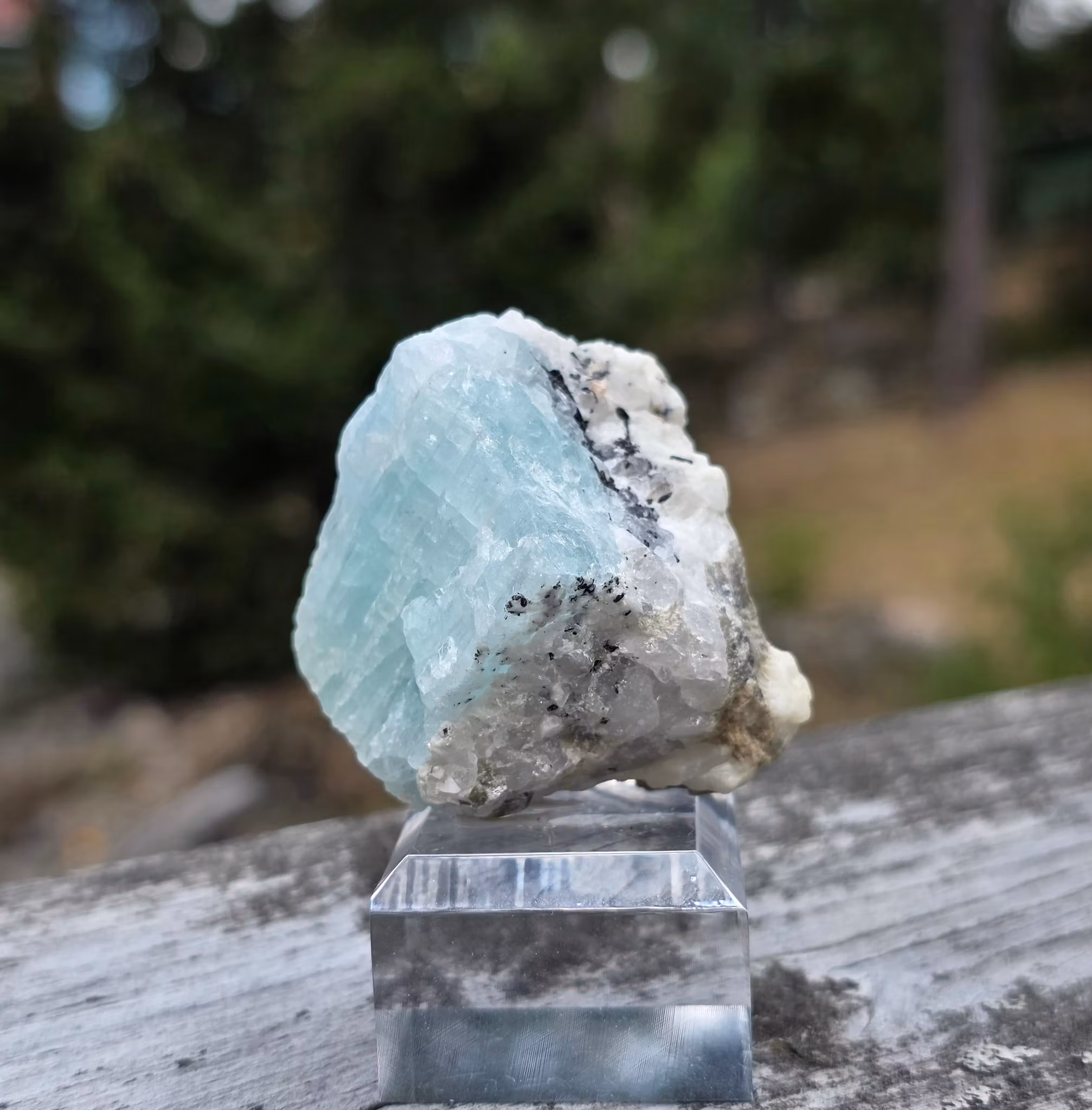 Rå Akvamarin Med Mica, Turmalin & Albit, Skardu Pakistan 301 ct