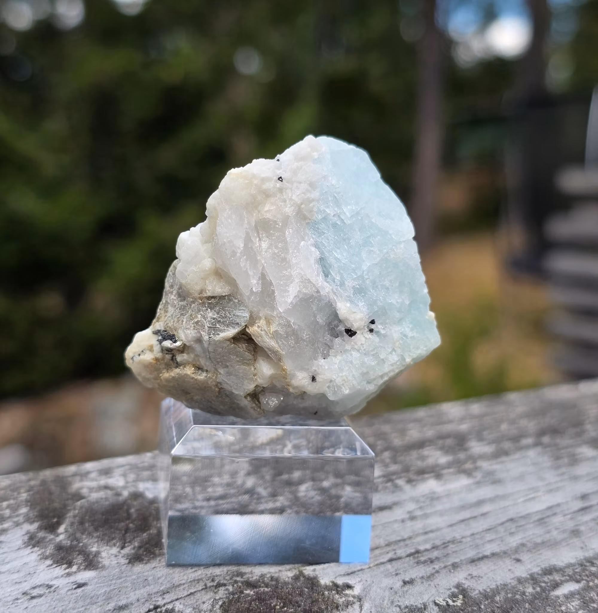 Rå Akvamarin Med Mica, Turmalin & Albit, Skardu Pakistan 301 ct