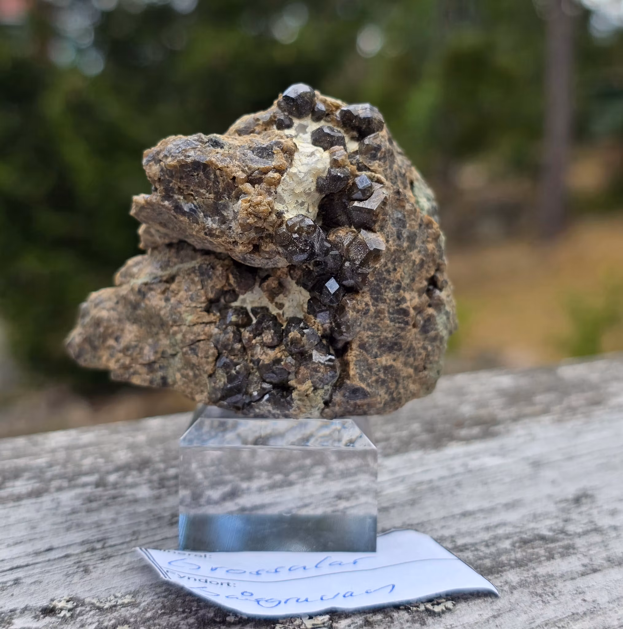 Granat Grossular Gåsgruvan