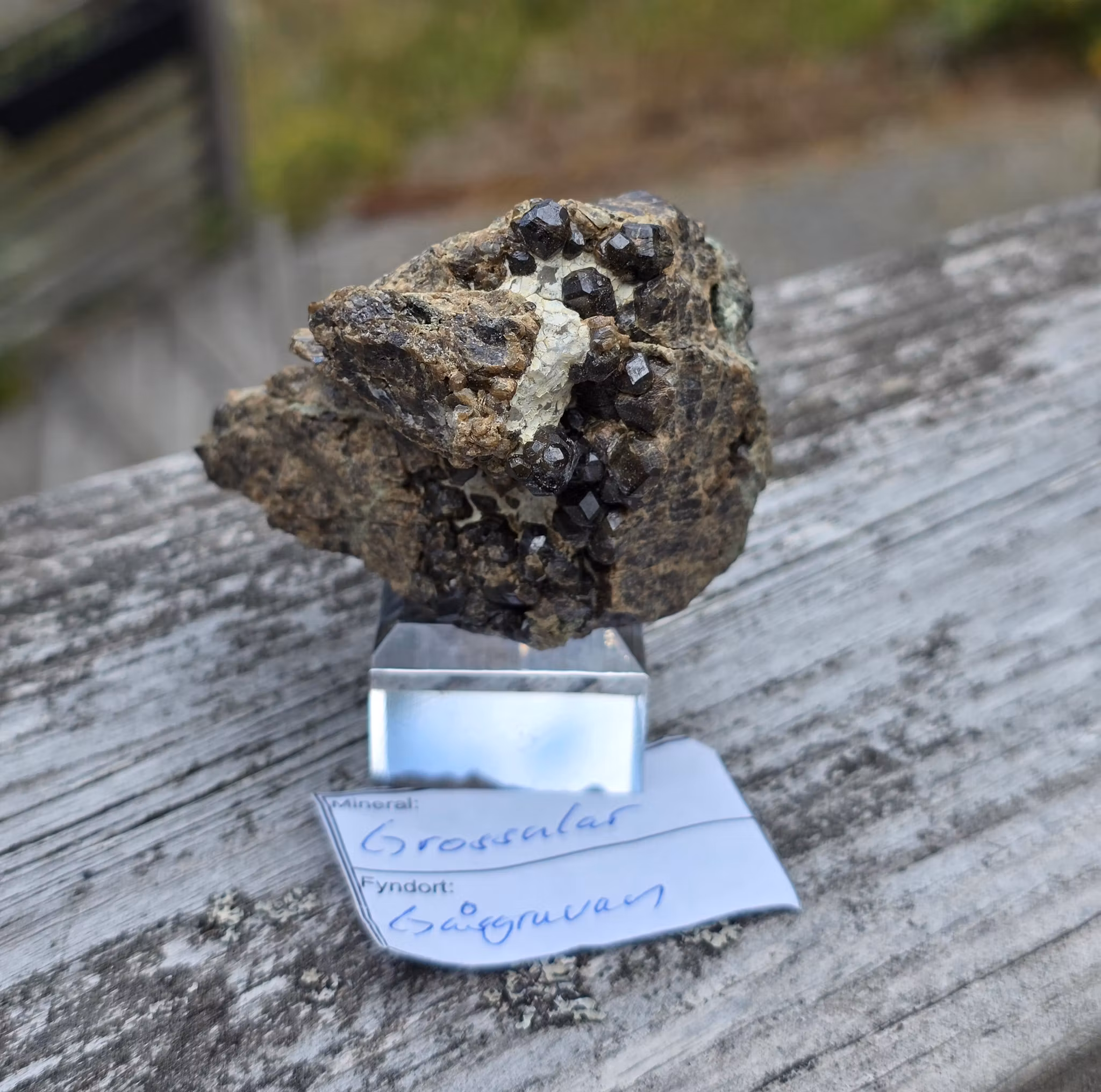 Granat Grossular Gåsgruvan