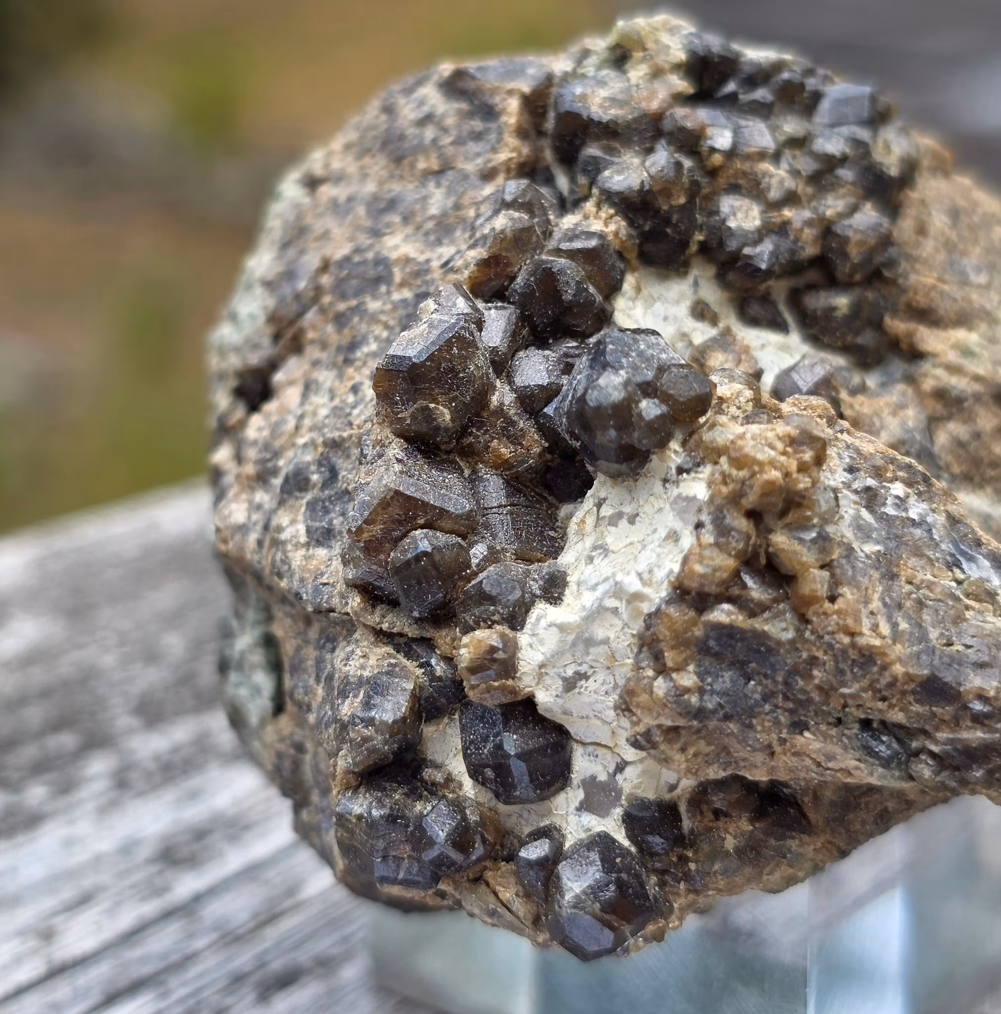 Granat Grossular Gåsgruvan
