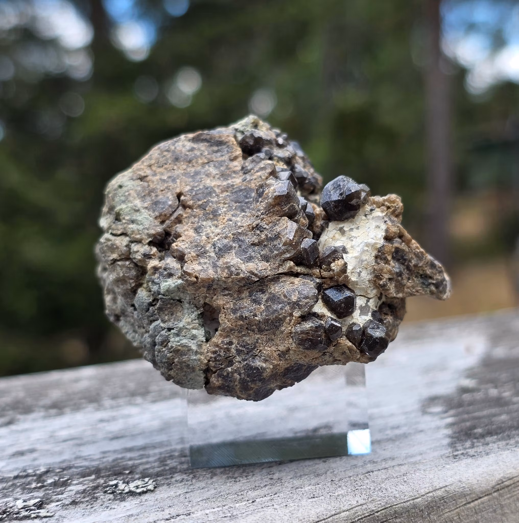 Granat Grossular Gåsgruvan