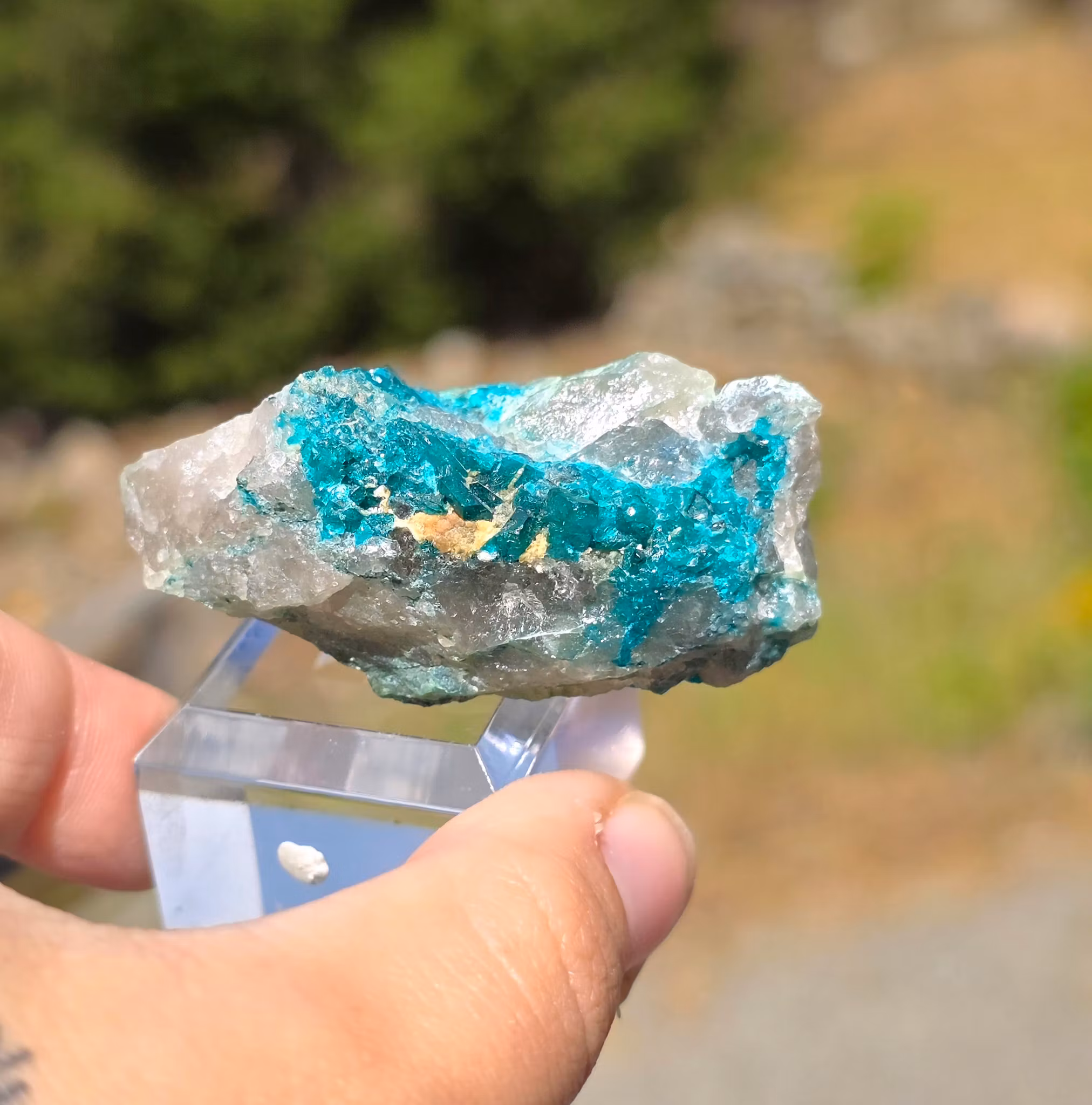 Dioptas Med Plancheit På Kvarts 39,6 gram