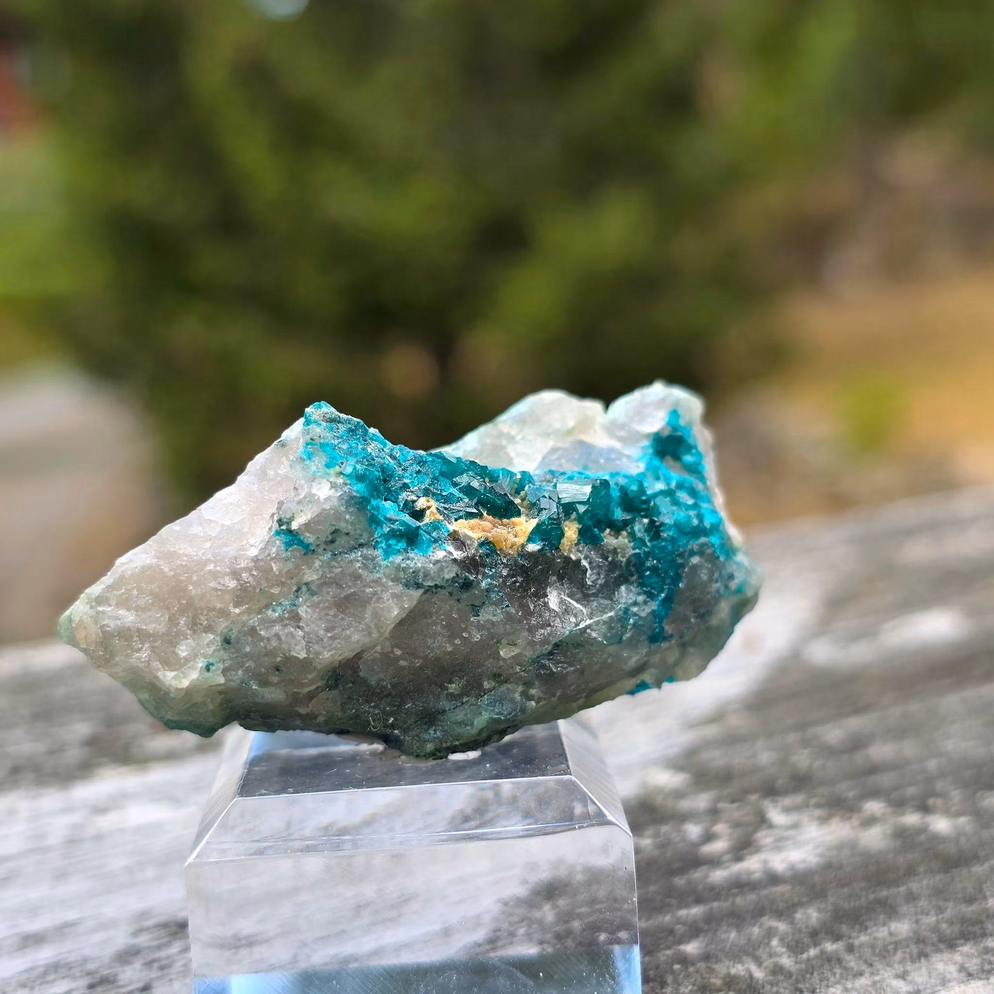Dioptas Med Plancheit På Kvarts 39,6 gram