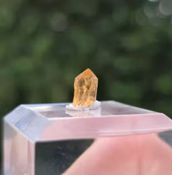 Rå Imperial Topas Ouro Preto, 1,20 ct