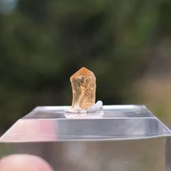 Rå Imperial Topas Ouro Preto, 1,20 ct