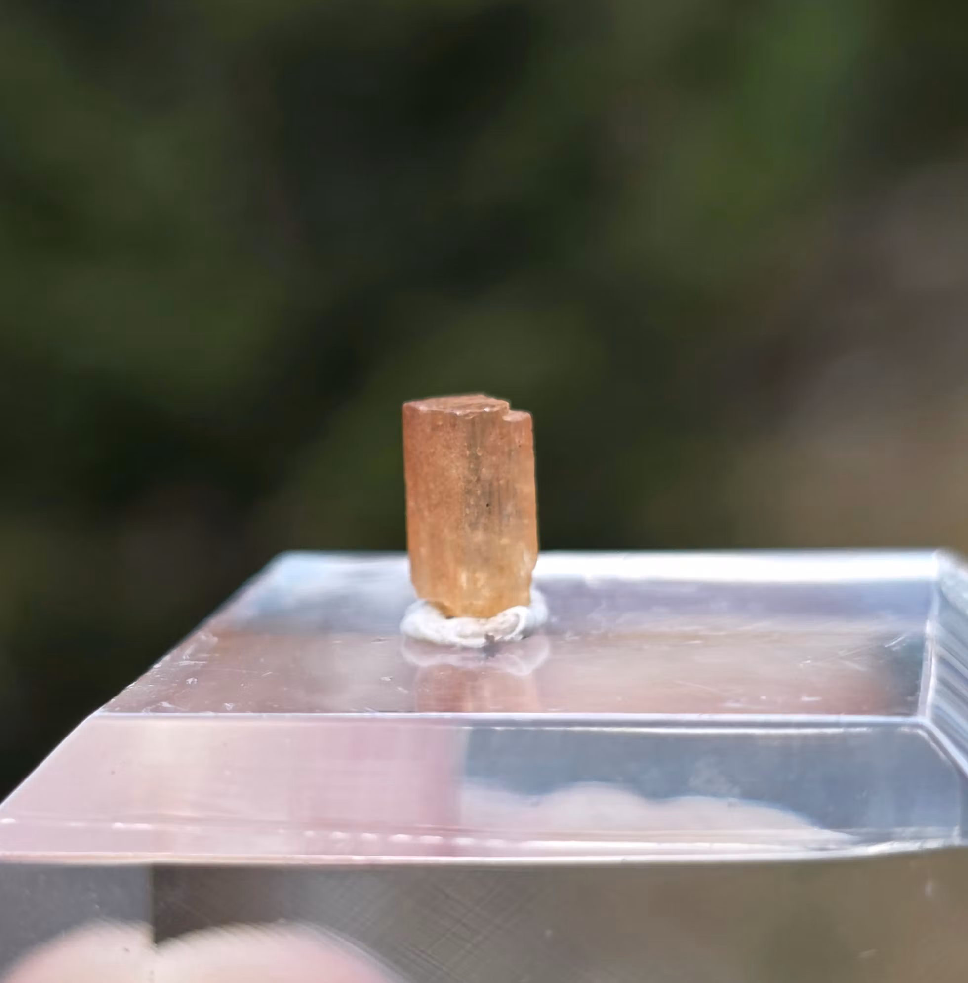 Rå Imperial Topas Ouro Preto, 0,75 ct