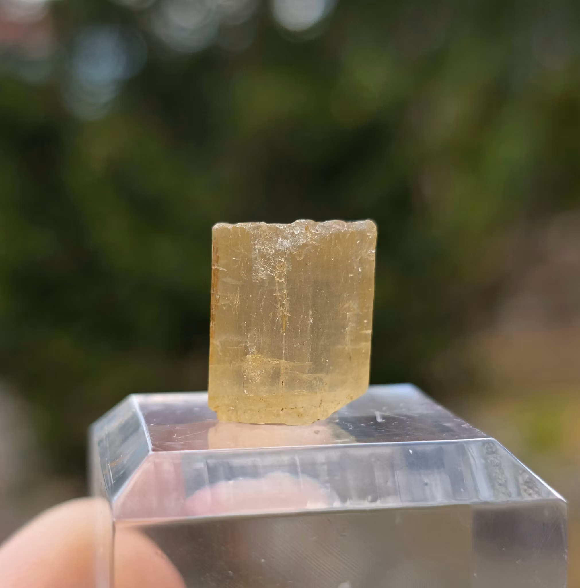 Rå Gul Skapolit Från Afhanistan 13,47 ct