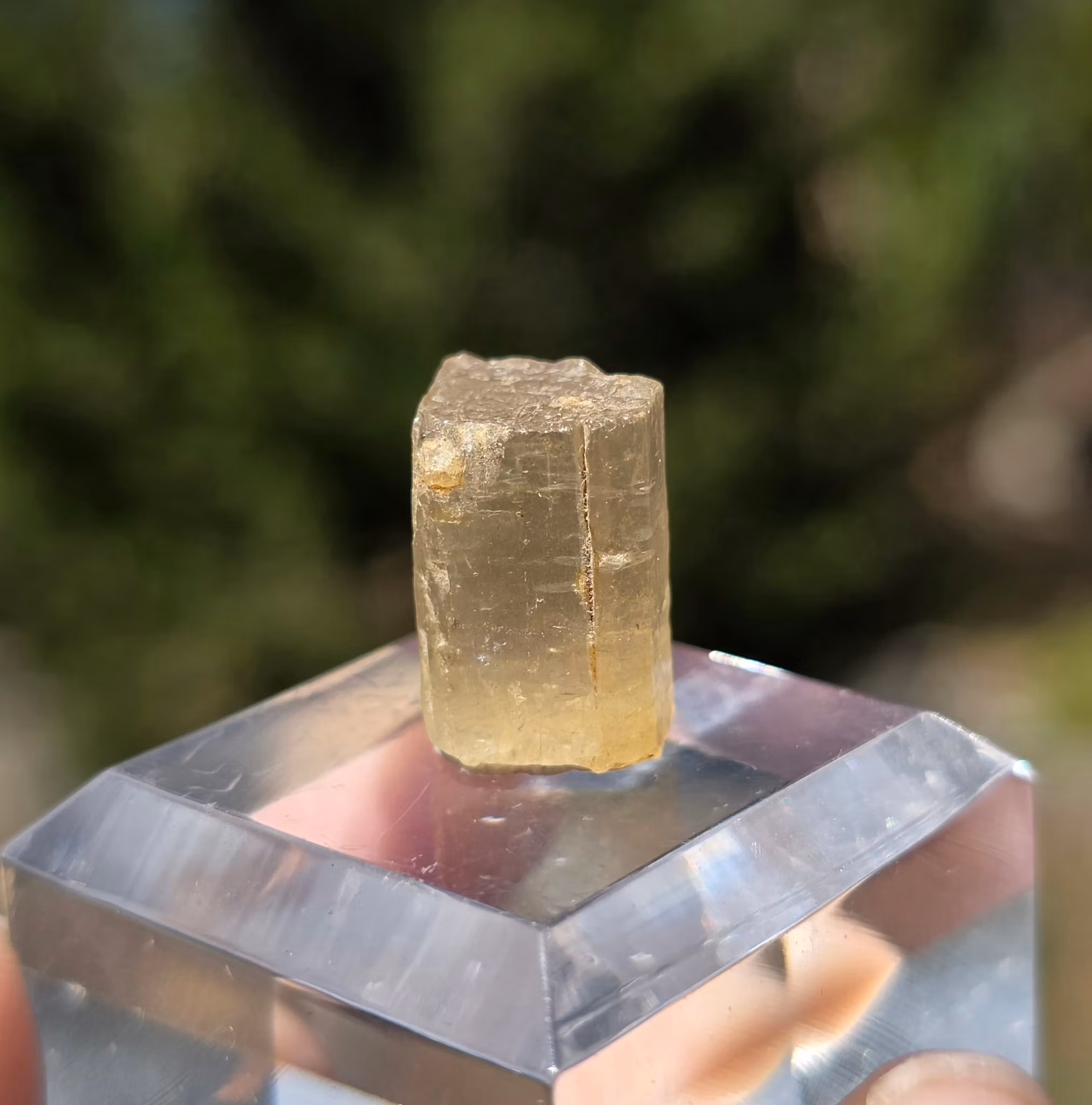 Rå Gul Skapolit Från Afhanistan 13,47 ct