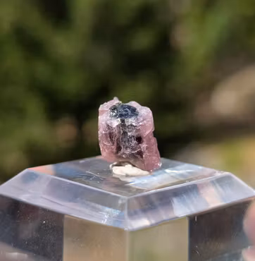 Grön & Rosa Turmalin Från Astaknala 6,75 ct