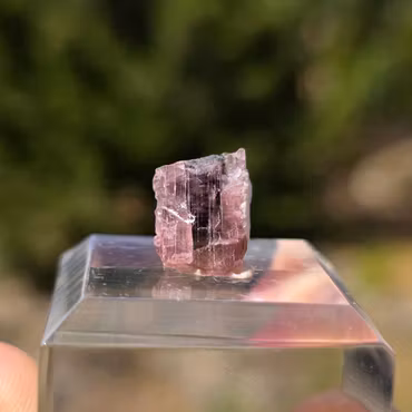 Grön & Rosa Turmalin Från Astaknala 6,75 ct