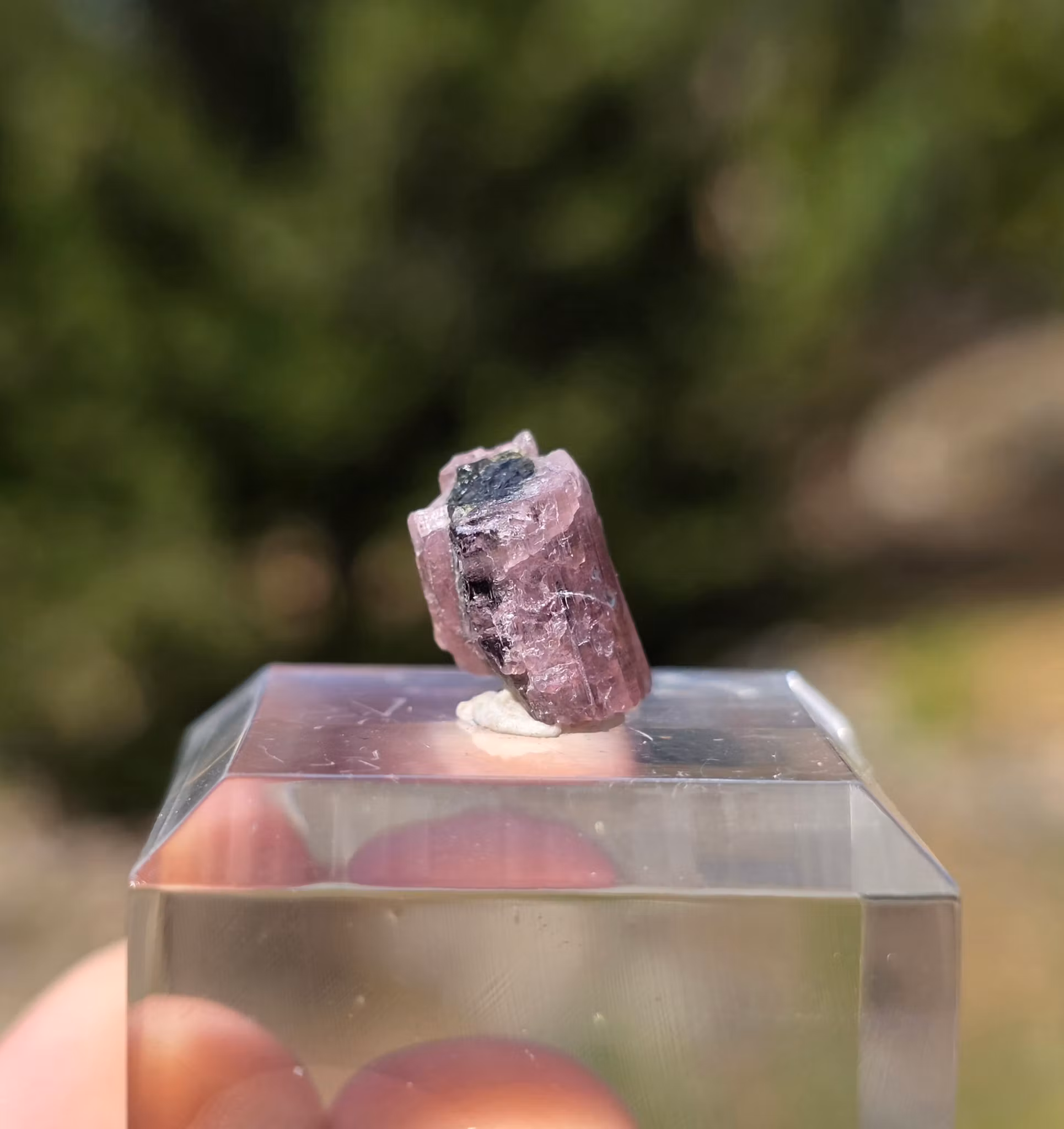 Grön & Rosa Turmalin Från Astaknala 6,75 ct