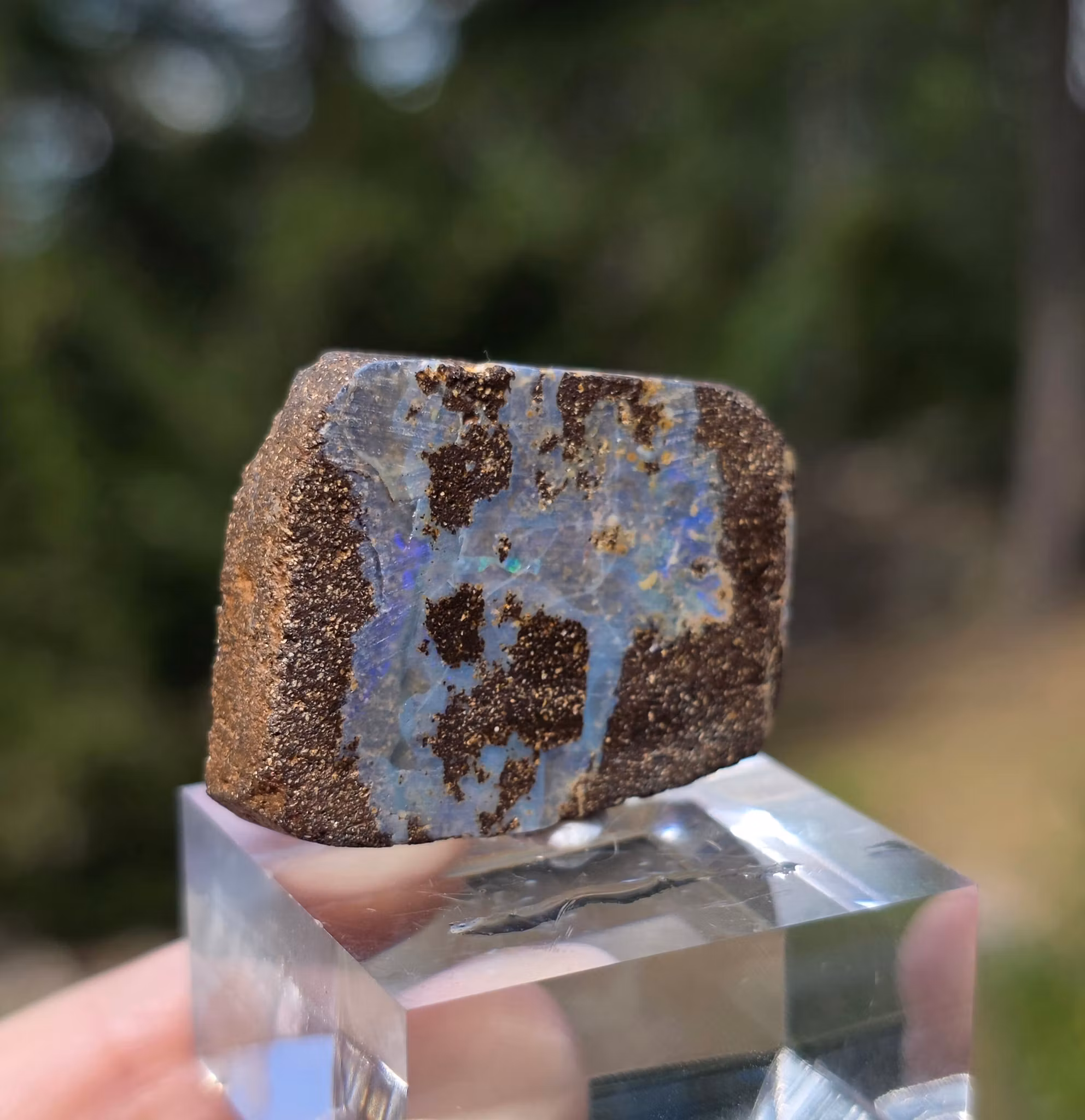 Rå Boulder Opal från Koroit 55,74 ct