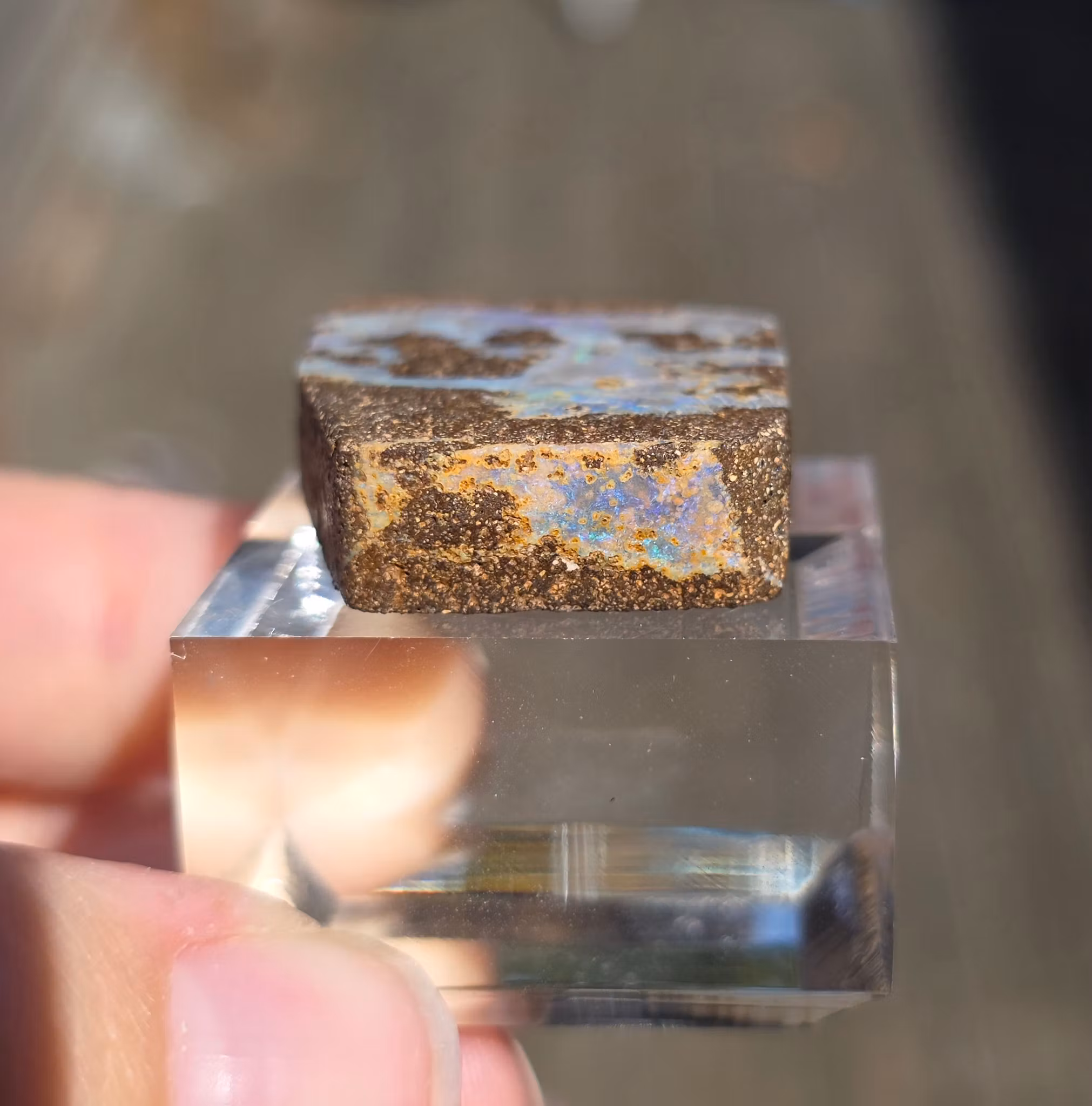 Rå Boulder Opal från Koroit 55,74 ct