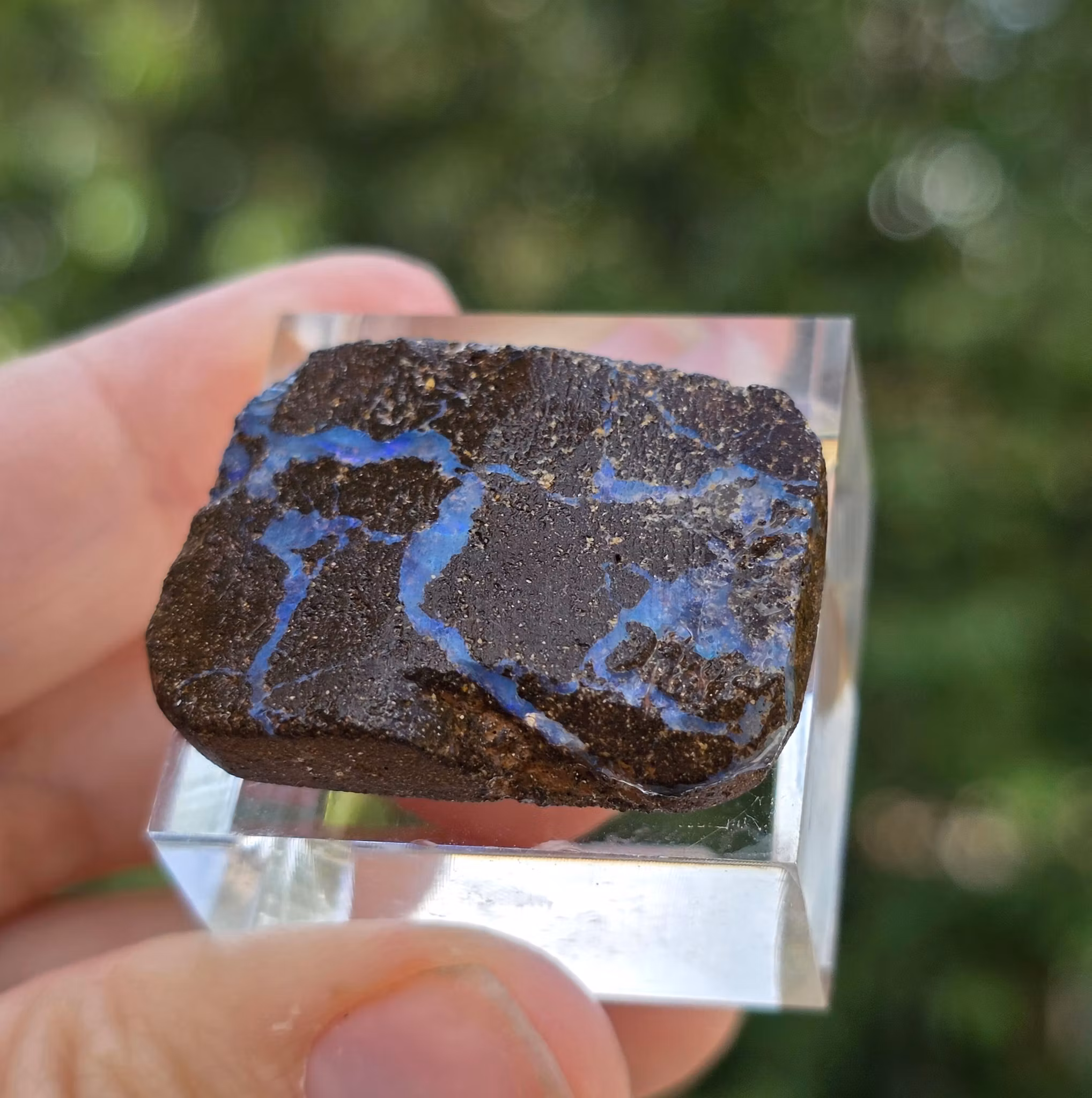 Rå Boulder Opal från Koroit 42,04 ct