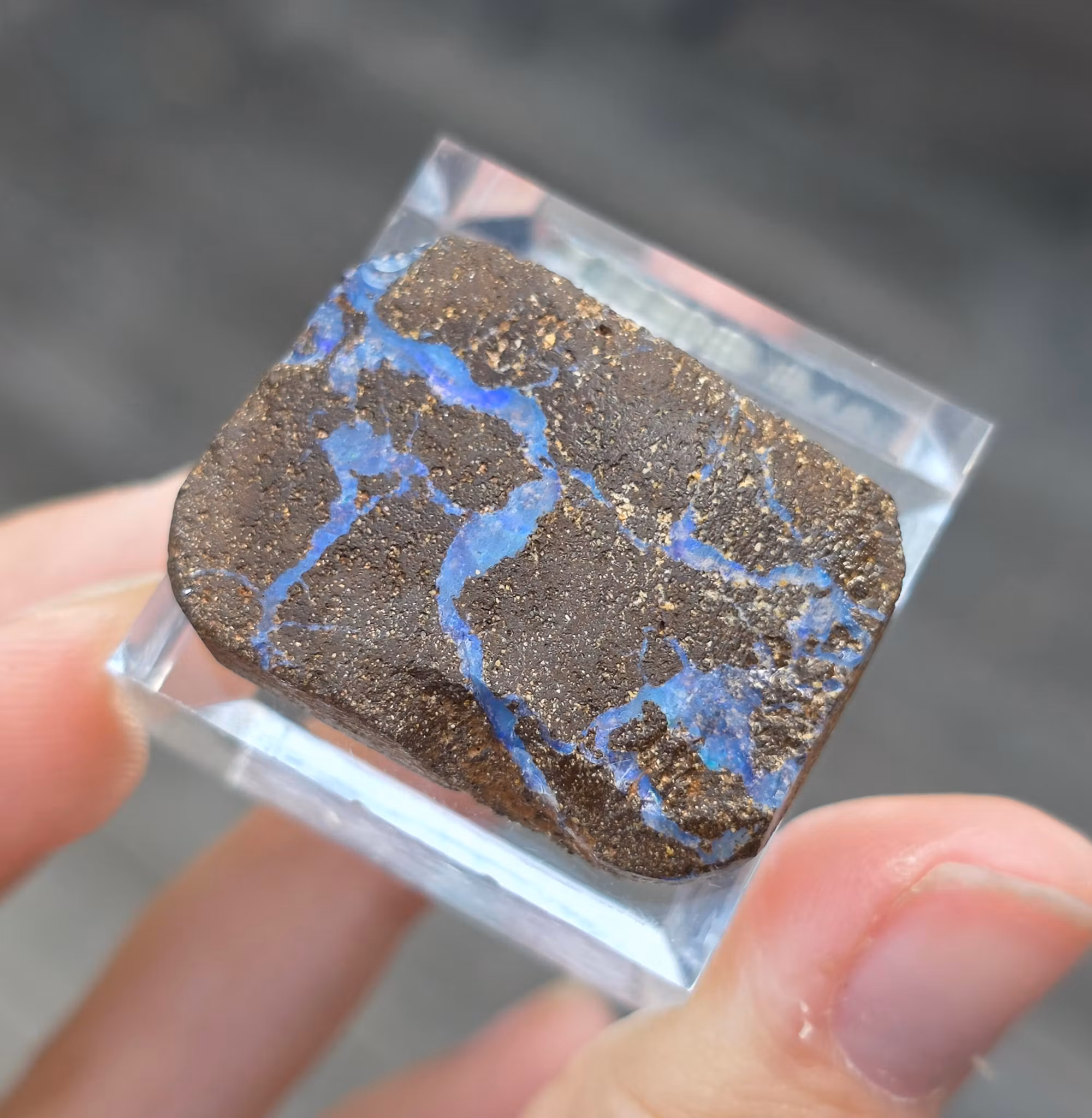 Rå Boulder Opal från Koroit 42,04 ct