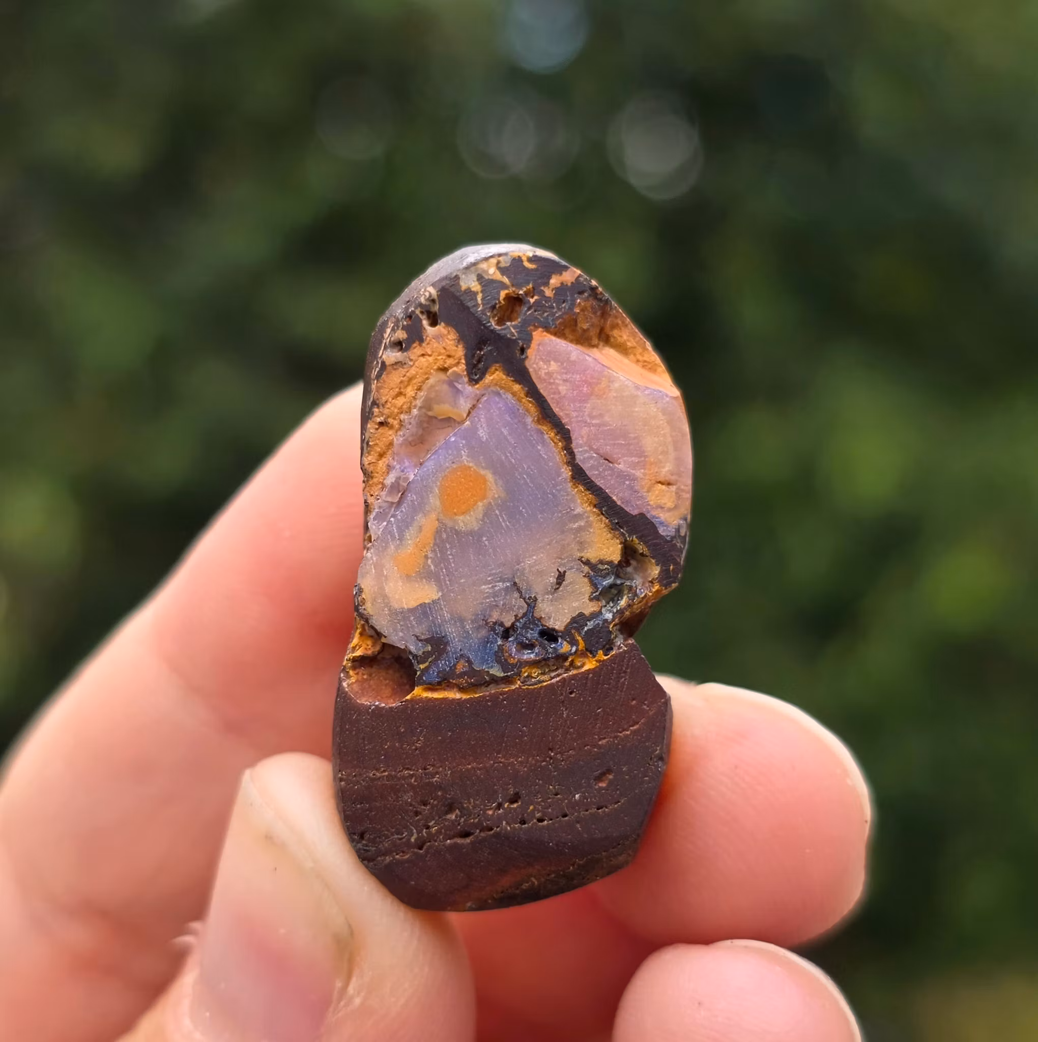 Rå Boulder Opal från Koroit 55,09 ct