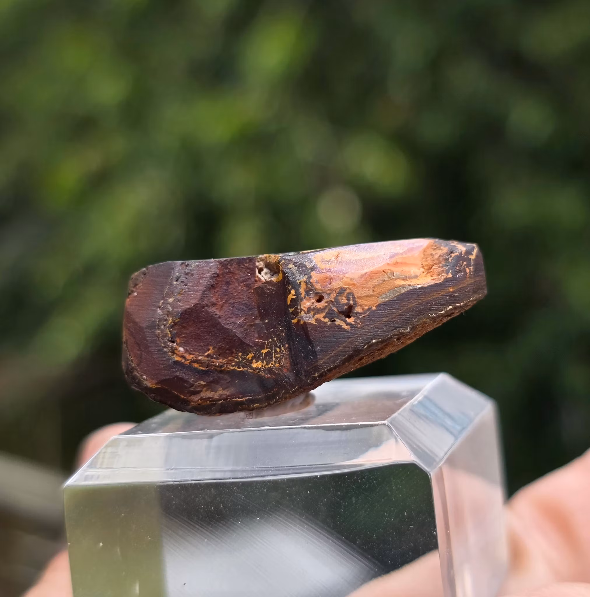 Rå Boulder Opal från Koroit 55,09 ct