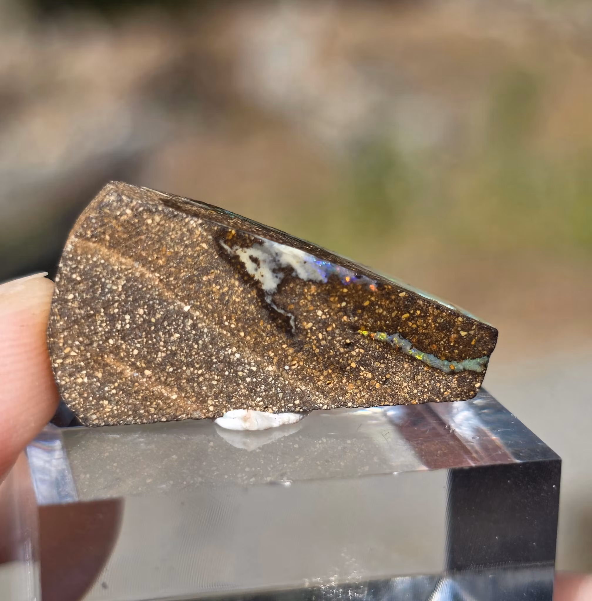Rå Boulder Opal från Koroit 20,36 ct