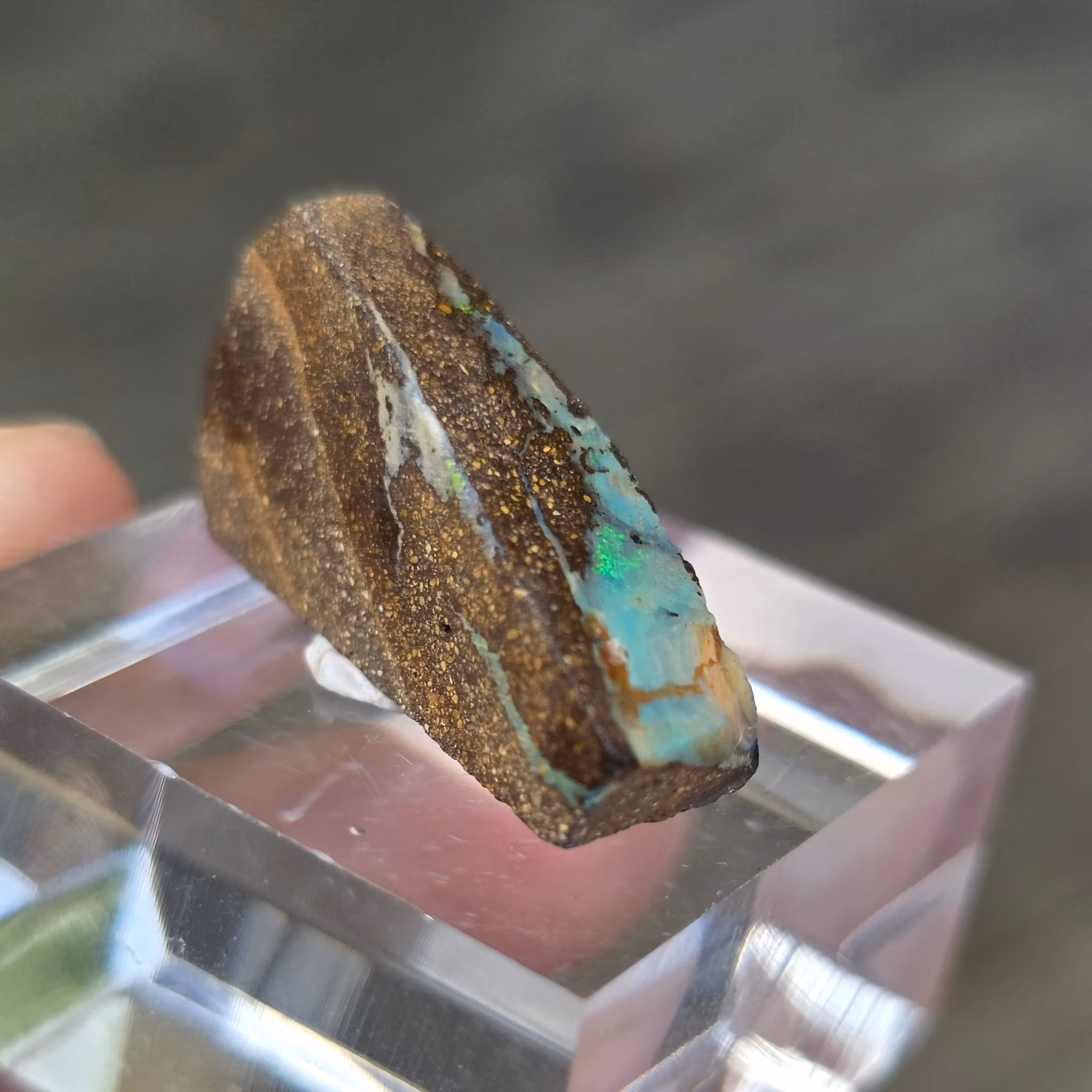 Rå Boulder Opal från Koroit 20,36 ct