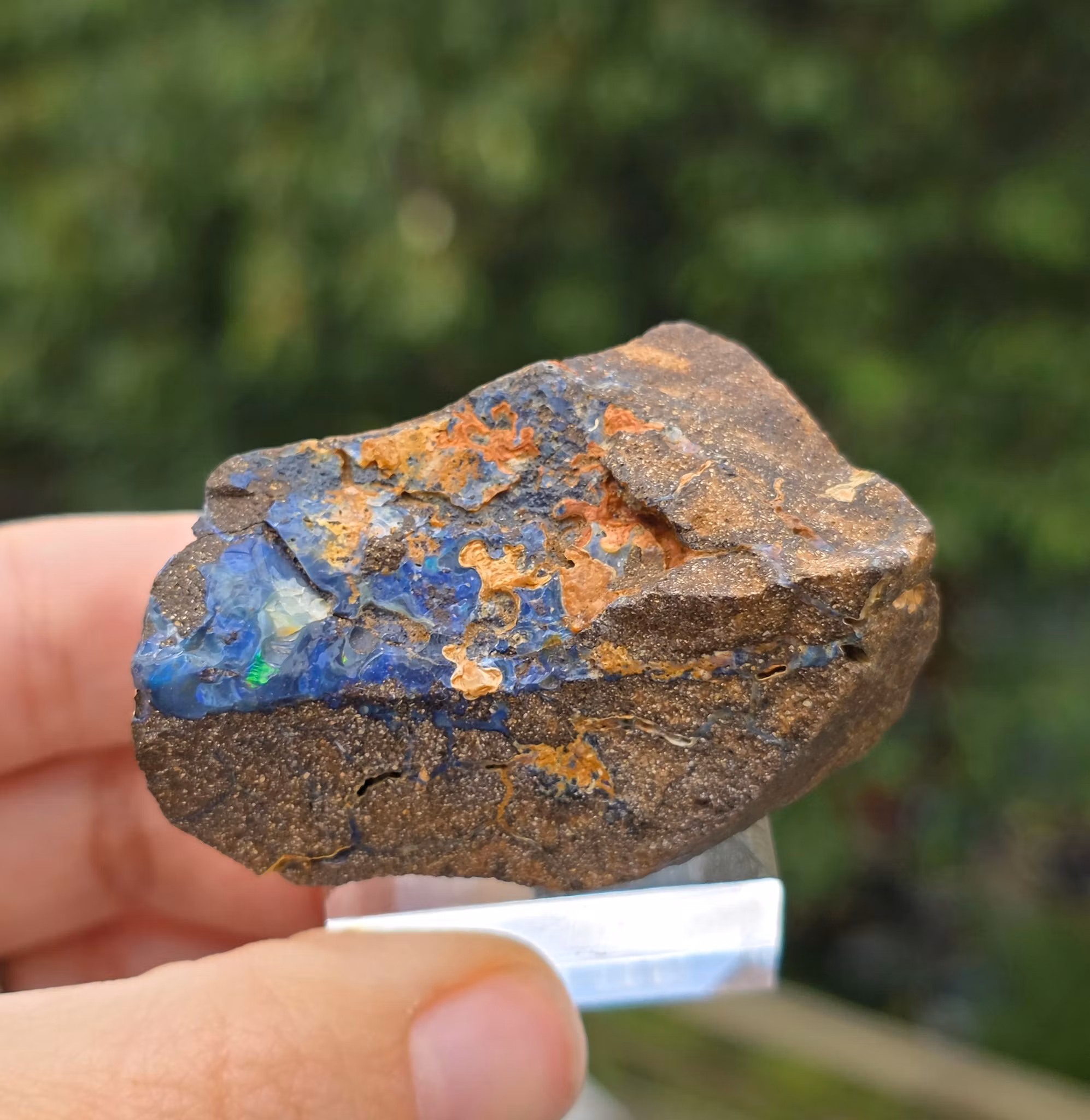Rå Boulder Opal från Koroit 229 ct