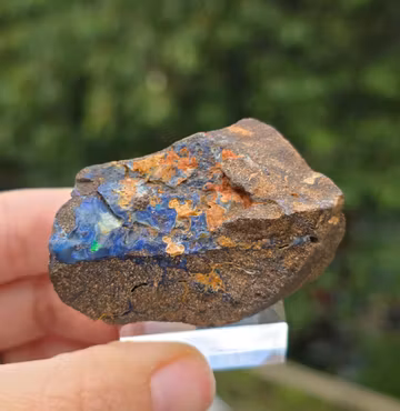Rå Boulder Opal från Koroit 229 ct