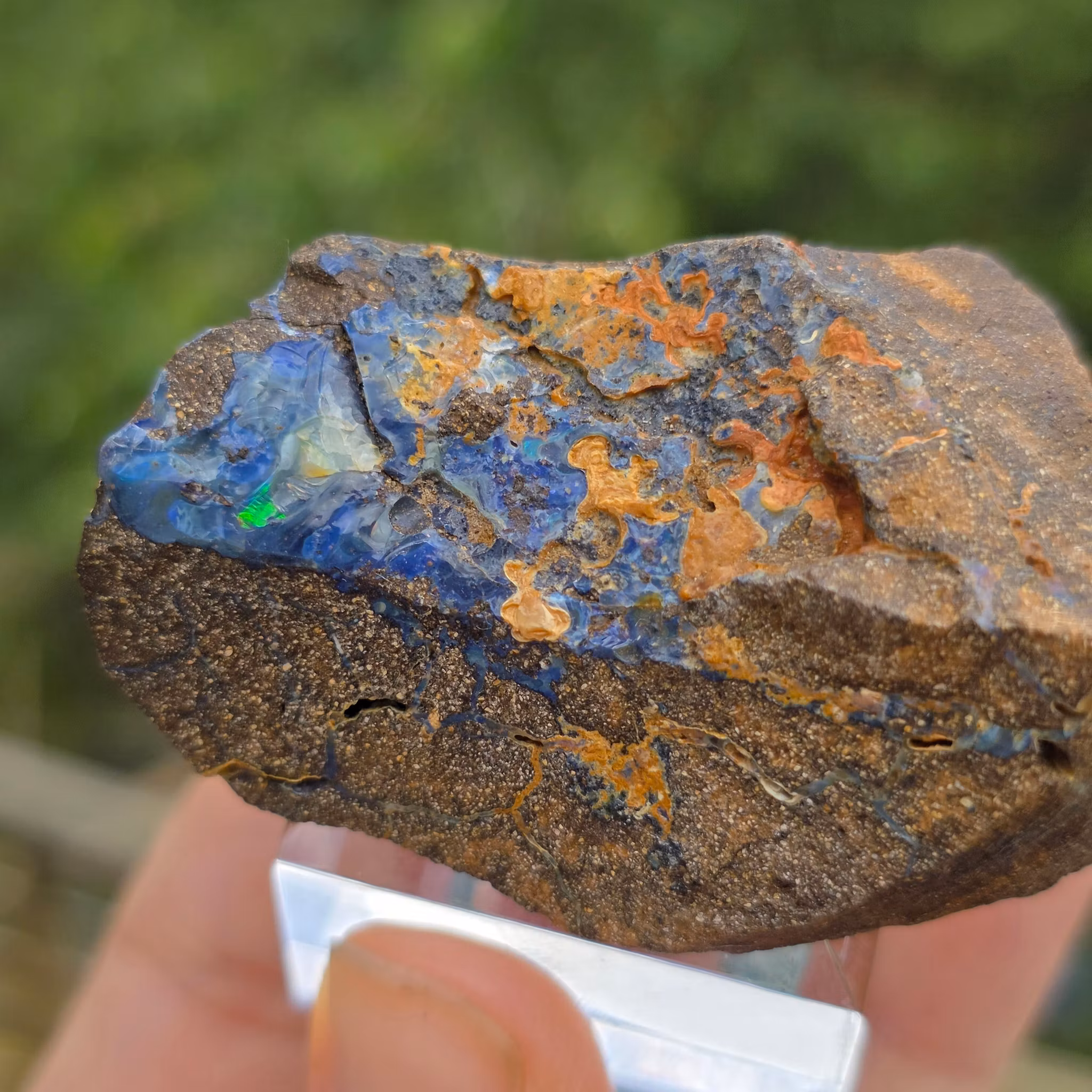 Rå Boulder Opal från Koroit 229 ct