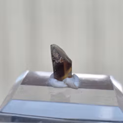 Solid Opal  från Lightning Ridge 1,75 ct