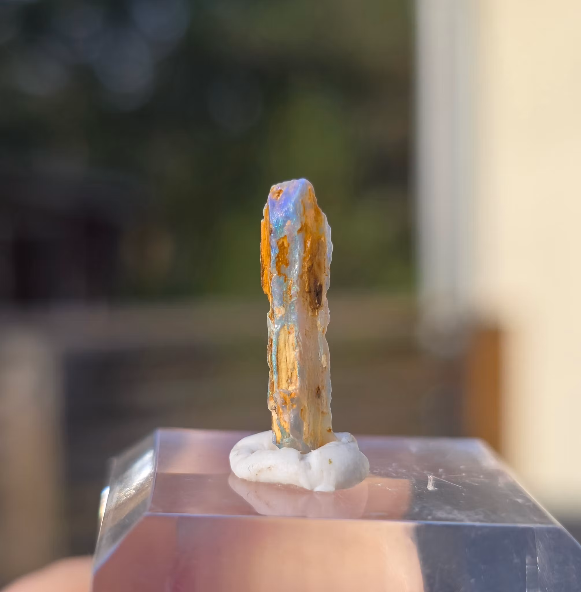 Solid Opal  från Lightning Ridge 1,15 ct
