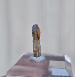 Solid Opal  från Lightning Ridge 1,15 ct