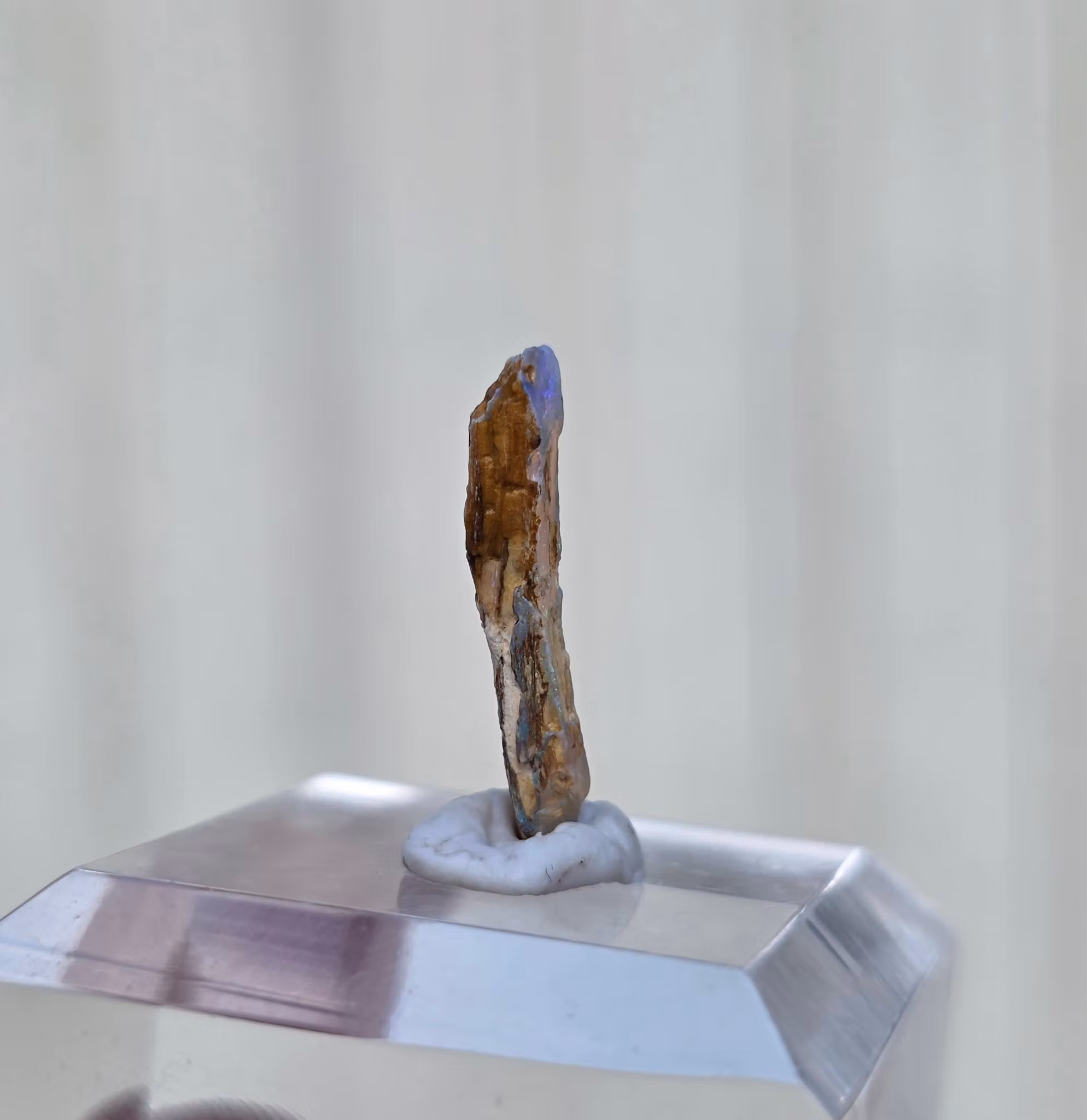 Solid Opal  från Lightning Ridge 1,15 ct