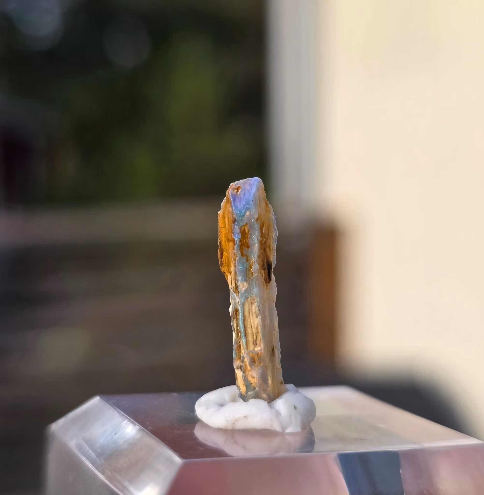 Solid Opal  från Lightning Ridge 1,15 ct