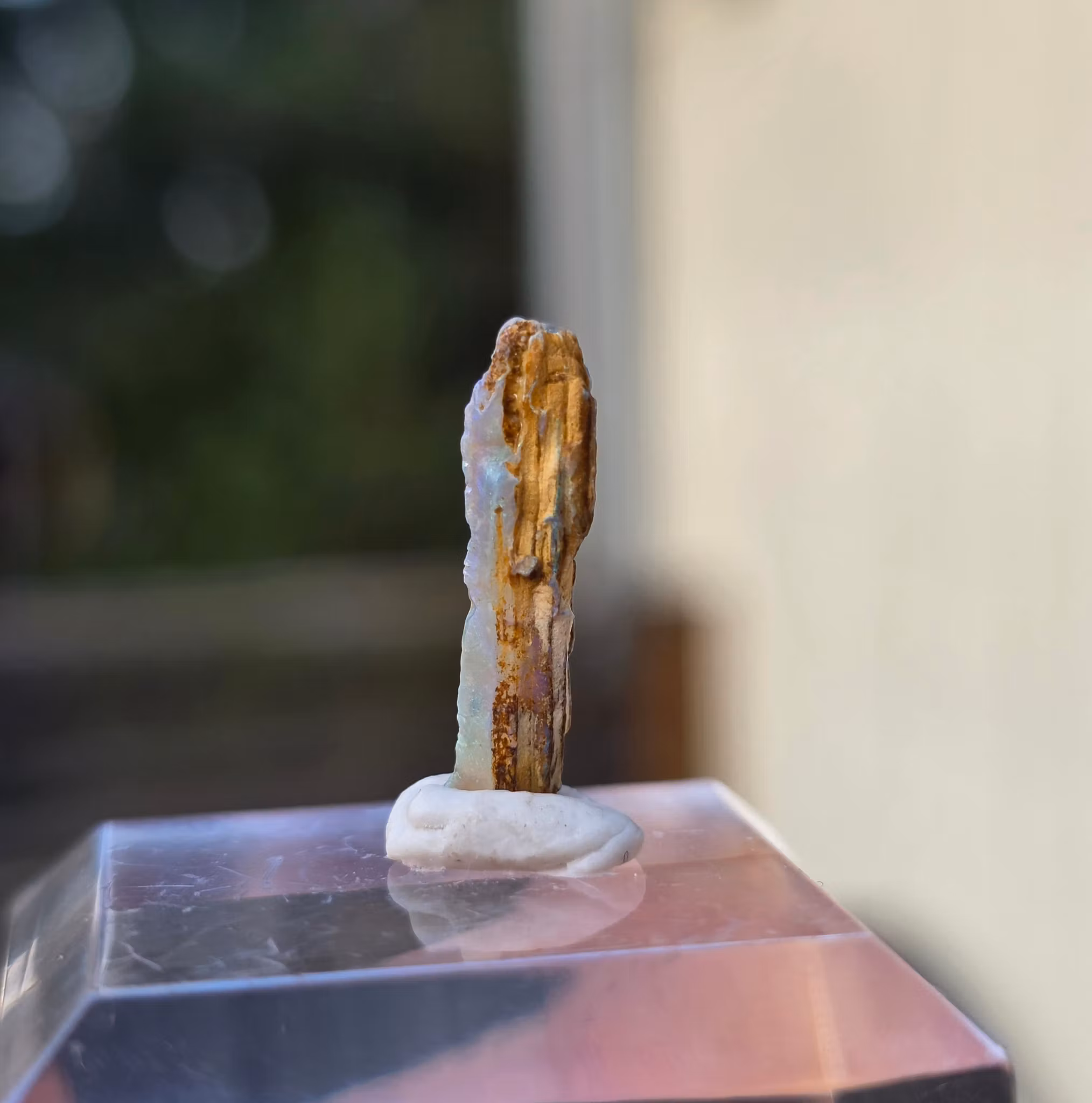 Solid Opal  från Lightning Ridge 1,15 ct