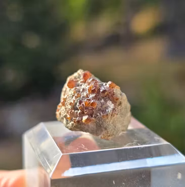 Spessartit Granat 25,30 ct