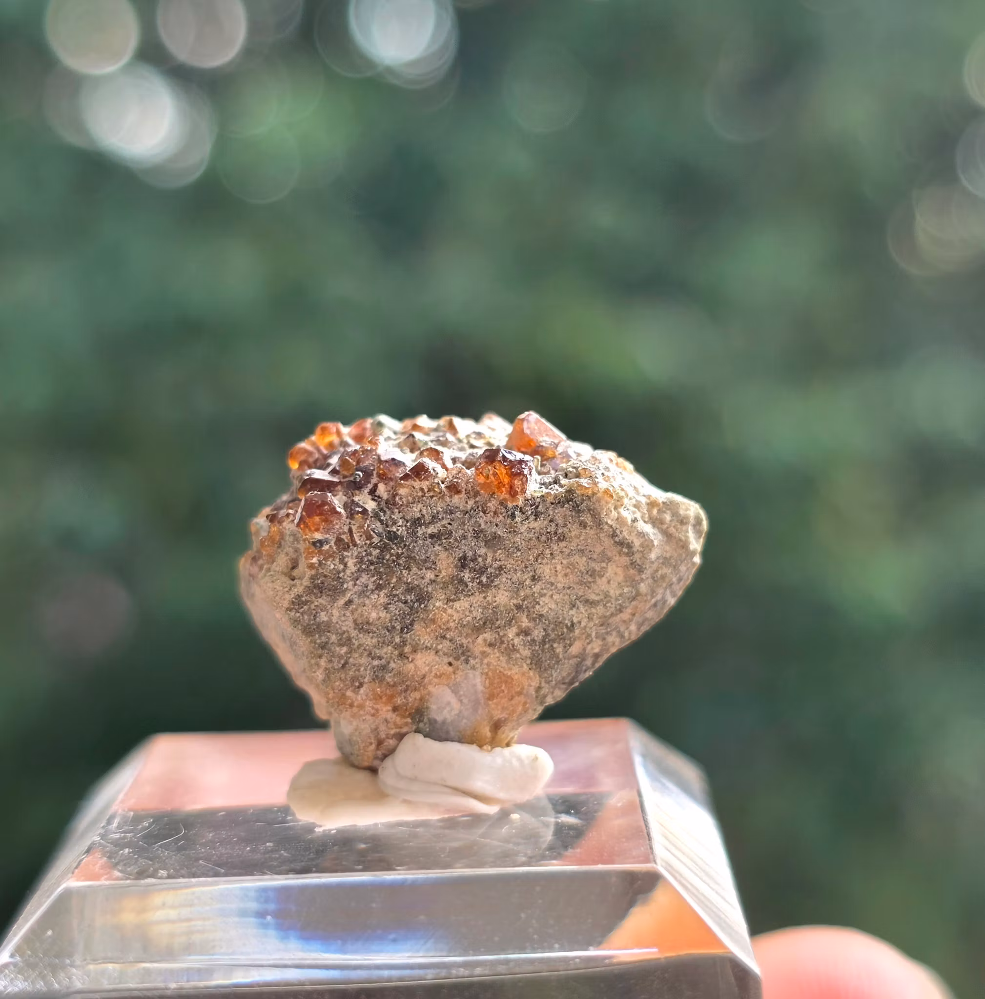 Spessartit Granat 25,30 ct