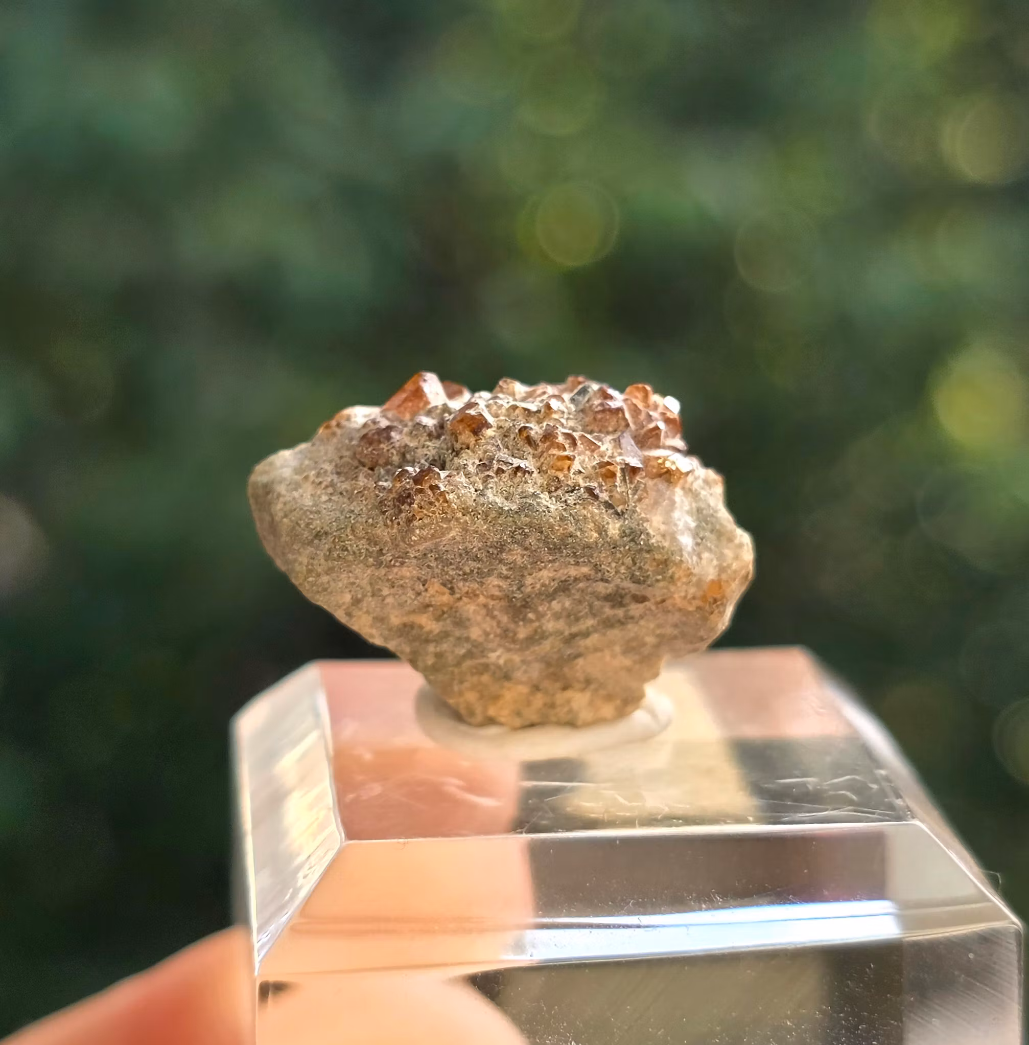 Spessartit Granat 25,30 ct