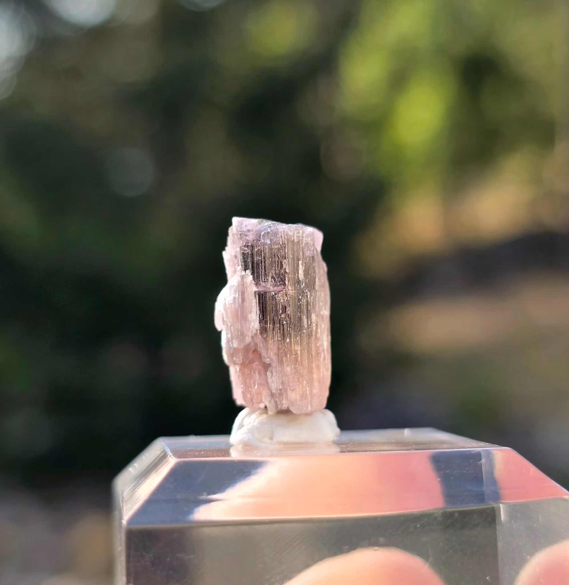 Grön & Rosa Turmalin Från Astaknala 8,65 ct