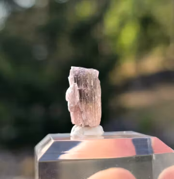 Grön & Rosa Turmalin Från Astaknala 8,65 ct