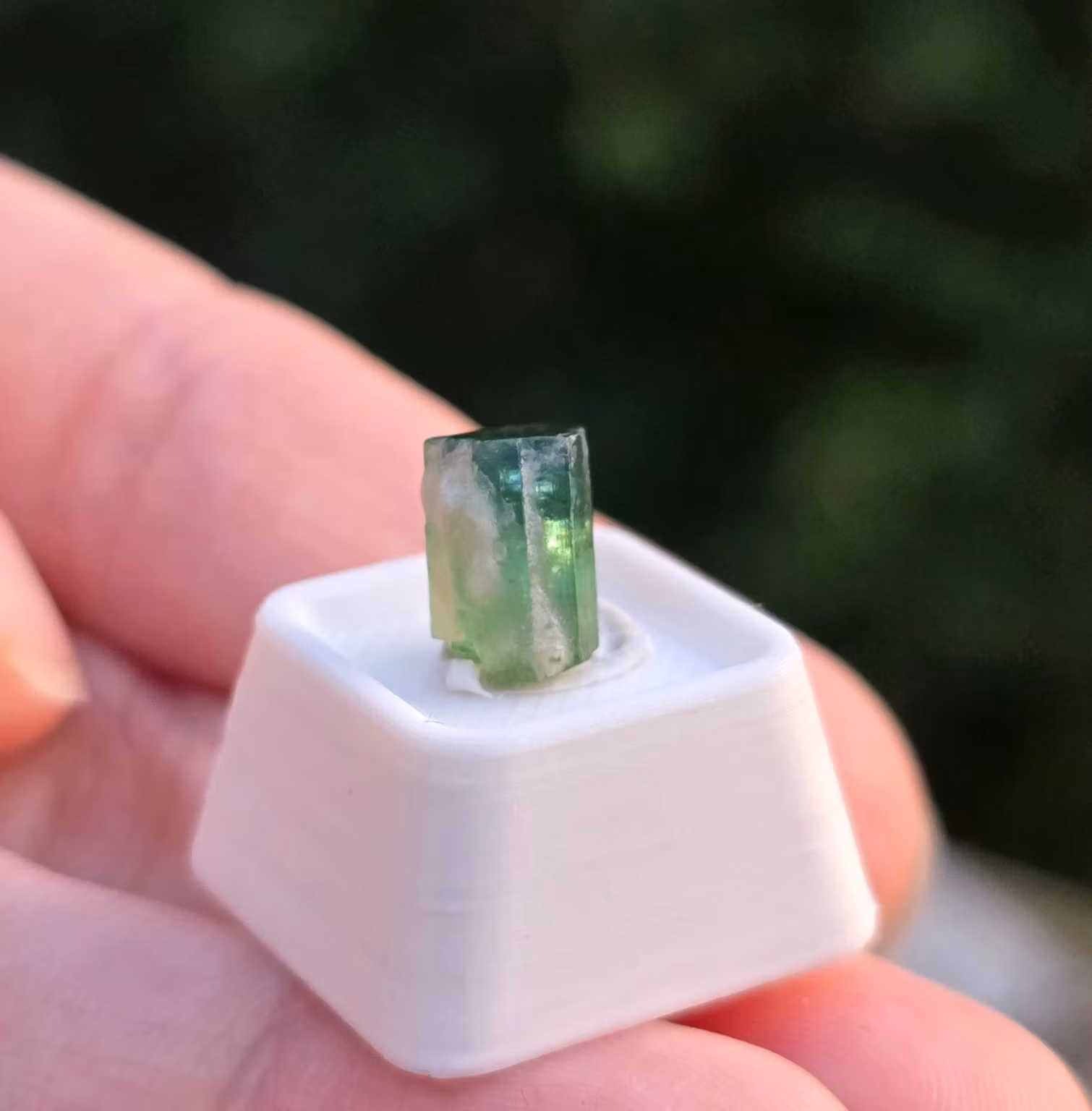 Naturlig Grön Turmalin 3,10ct Kunar, Gem-Grade Med Färgzonering