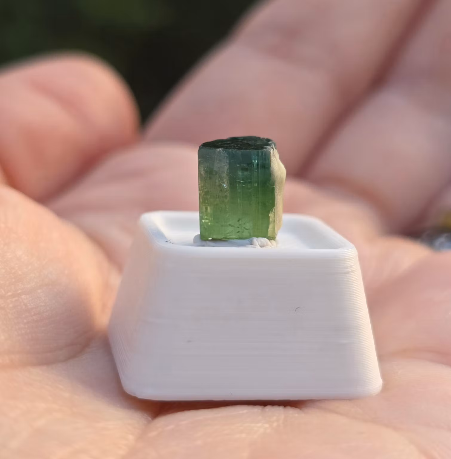 Naturlig Grön Turmalin 3,10ct Kunar, Gem-Grade Med Färgzonering