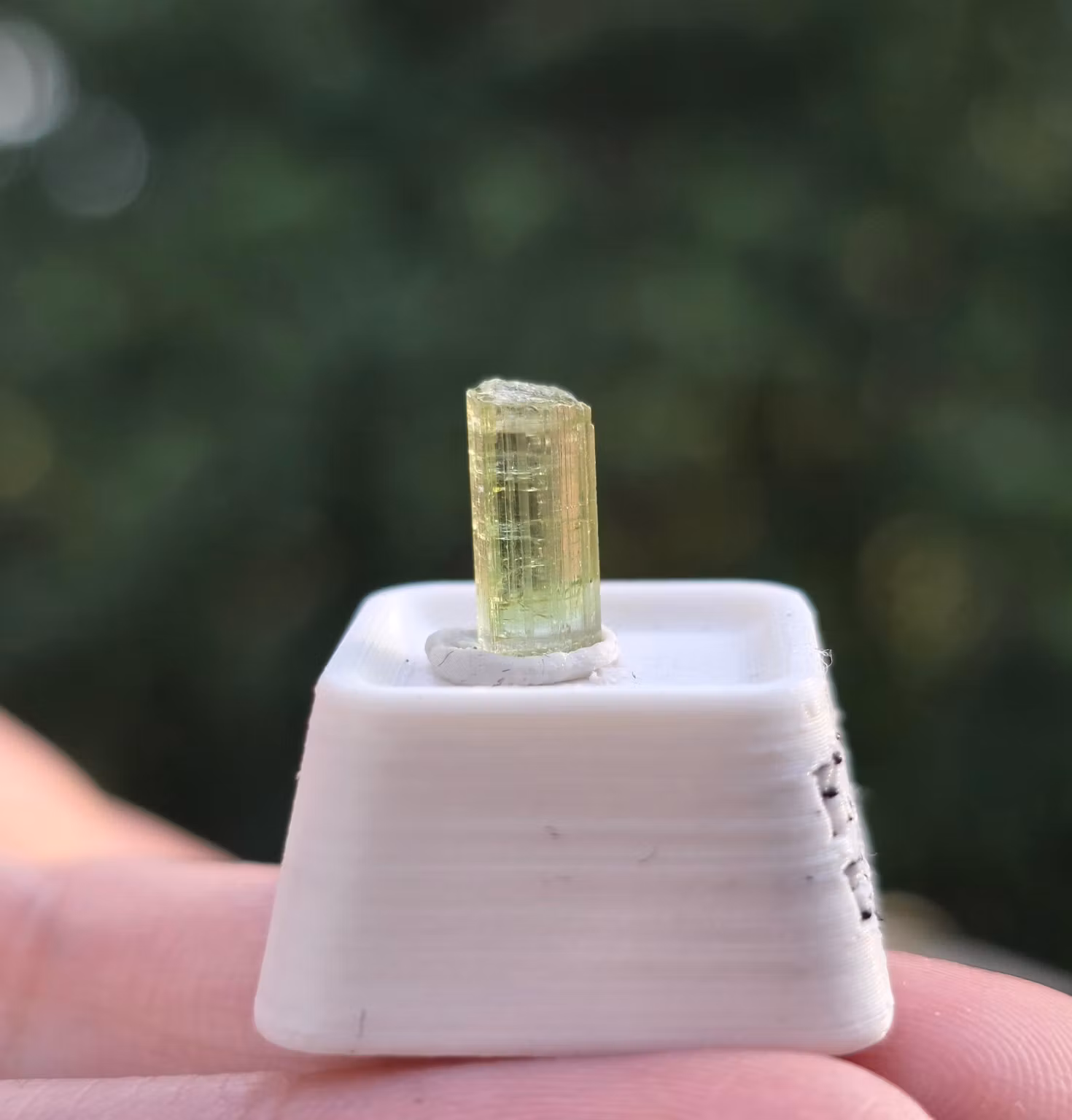Ljus Limegrön Turmalin Färgzonerad Kärna/Topp 1,85 ct