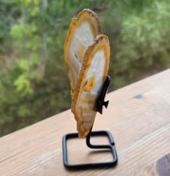 Fjäril Av Naturlig Agat På Ställning