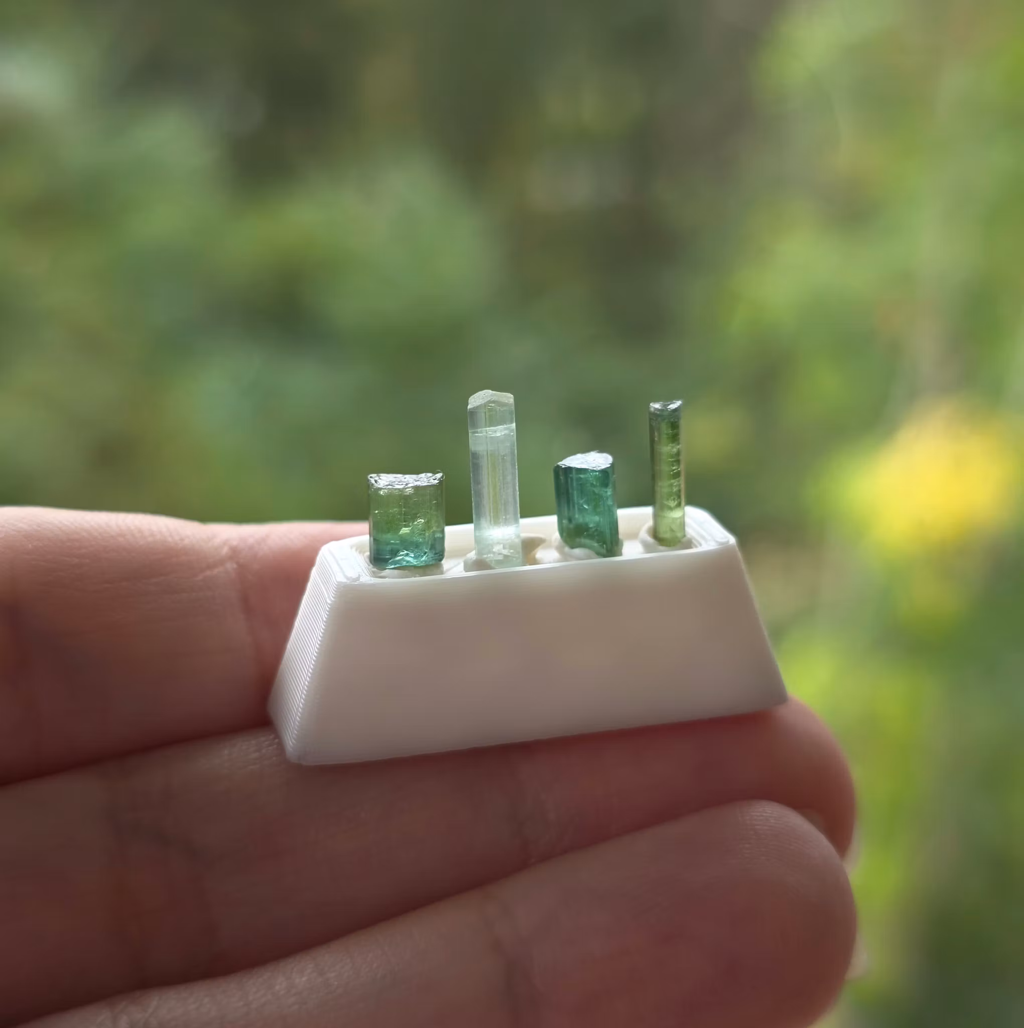 Samlar-set Fyra Mikro Turmaliner på Display