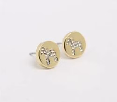 63097,Nordic crystal stick ear gold / örhänge dalahäst, Kirurgiskt stål