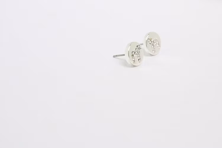 63087, Nordic crystal stick earsilver / örhängen silver, Kirurgiskt stål