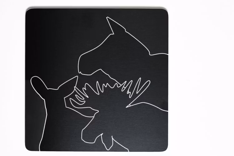 63117 GRYTUNDERLÄGG / POT COASTER MOOSE