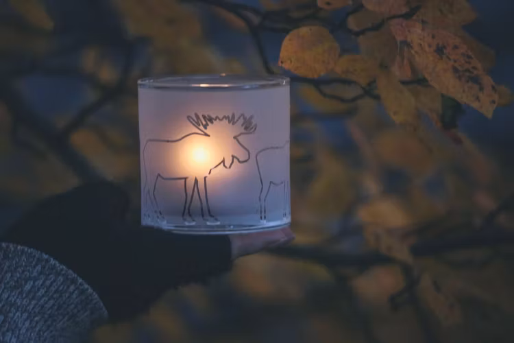 63123 Frostad ljuslykta älg / Frosted candelholder