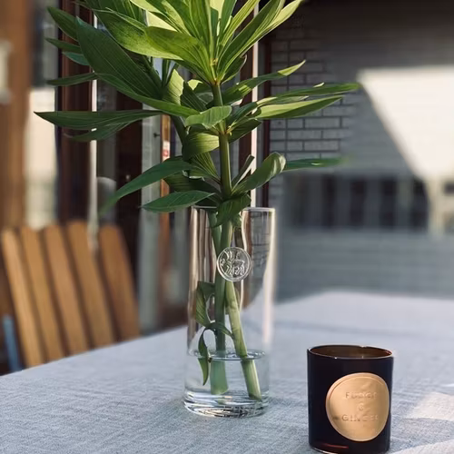 63083 VAS/VATTENKARAFF REN / VASE REINDEER
