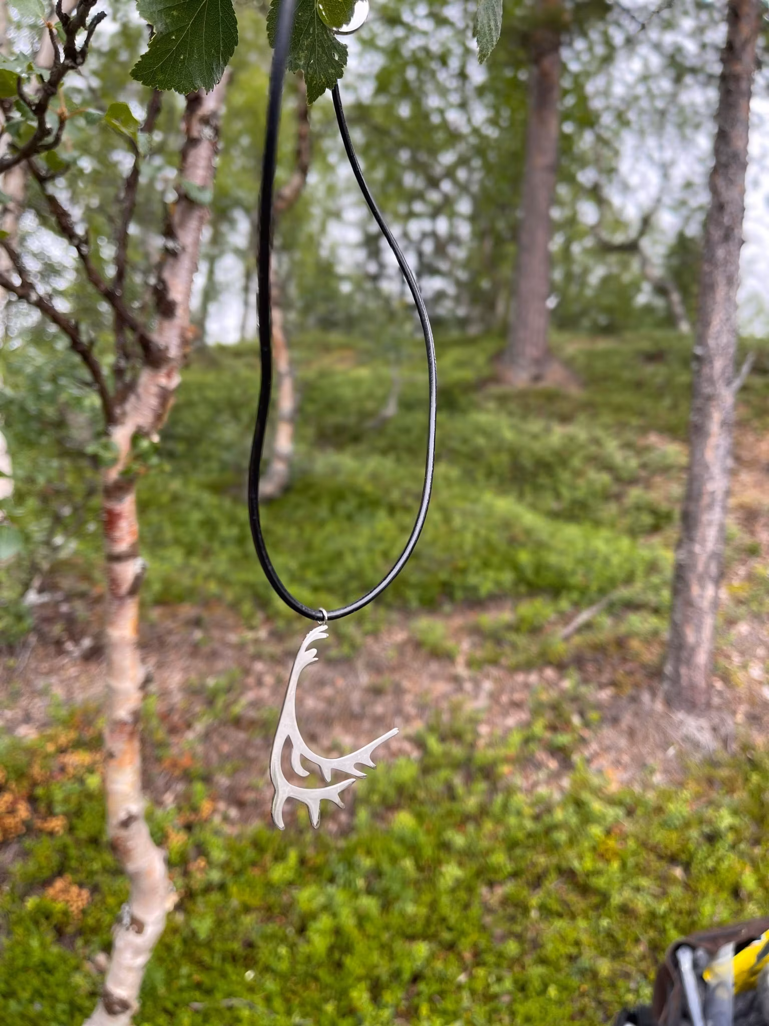 63163 , Läderhalsband 42cm, Vaja
